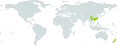 Photinia lasiogyna world distribution map, present in China and New Zealand