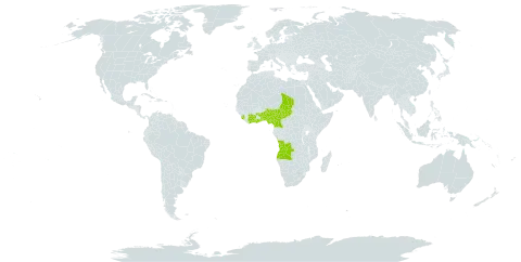 Phragmanthera nigritana world distribution map, present in Angola, Benin, Côte d'Ivoire, Cameroon, Ghana, Equatorial Guinea, Nigeria, Sierra Leone, Chad, and Togo