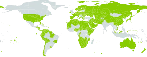 Phragmites australis world distribution map, present in Afghanistan, Angola, Åland Islands, Albania, Australia, Austria, Benin, Bulgaria, Bahamas, Belarus, Belize, Bolivia (Plurinational State of), Brazil, Botswana, Switzerland, Chile, China, Congo, Cook Islands, Colombia, Costa Rica, Cyprus, Czech Republic, Germany, Dominica, Denmark, Algeria, Ecuador, Egypt, Eritrea, Spain, Ethiopia, Finland, France, Micronesia (Federated States of), Georgia, Gambia, Guinea-Bissau, Greece, Guatemala, Guyana, Honduras, Haiti, Hungary, Ireland, Iran (Islamic Republic of), Iraq, Italy, Japan, Kazakhstan, Kenya, Kyrgyzstan, Kuwait, Libya, Lesotho, Morocco, Montenegro, Mozambique, Mauritania, Malaysia, Namibia, Norfolk Island, Nigeria, Nicaragua, Netherlands, Norway, Nepal, New Zealand, Oman, Pakistan, Panama, Peru, Palau, Poland, Puerto Rico, Korea (Democratic People's Republic of), Portugal, Romania, Russian Federation, Saudi Arabia, Sudan, Senegal, Singapore, Somalia, Suriname, Sweden, eSwatini, Turks and Caicos Islands, Chad, Turkmenistan, Tunisia, Ukraine, Uruguay, United States of America, Uzbekistan, Venezuela (Bolivarian Republic of), Viet Nam, Yemen, South Africa, Zambia, and Zimbabwe