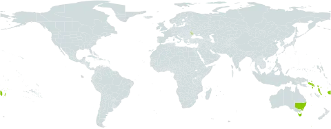Phreatia micrantha world distribution map, present in Australia, Fiji, Moldova (Republic of), Solomon Islands, Tonga, United States of America, Vanuatu, Wallis and Futuna, and Samoa