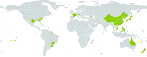 Phyllostachys nigra world distribution map, present in Australia, Austria, Brazil, China, France, Georgia, Japan, New Zealand, Philippines, Korea (Democratic People's Republic of), Seychelles, United States of America, and Viet Nam