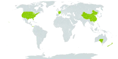 Physalis world distribution map, present in Australia, China, France, New Zealand, Panama, and United States of America