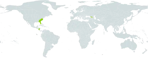 Physostegia leptophylla world distribution map, present in Åland Islands, Georgia, Nicaragua, and United States of America