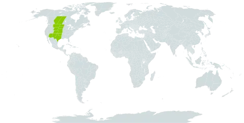 Picradeniopsis oppositifolia world distribution map, present in Canada and United States of America