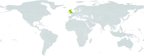 Pilosella officinarum subsp. velutina world distribution map, present in United Kingdom of Great Britain and Northern Ireland