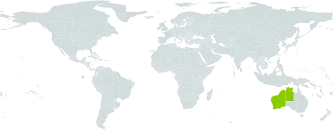Pimelea floribunda world distribution map, present in Australia