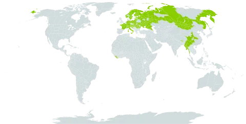 Pinguicula alpina world distribution map, present in Austria, Bhutan, Switzerland, China, Germany, Estonia, Finland, France, United Kingdom of Great Britain and Northern Ireland, Croatia, Hungary, India, Italy, Liberia, Liechtenstein, Lithuania, Latvia, Myanmar, Mongolia, Norway, Nepal, Poland, Romania, Russian Federation, Slovakia, Slovenia, Sweden, and Ukraine