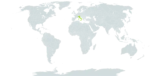 Pinguicula apuana world distribution map, present in Italy