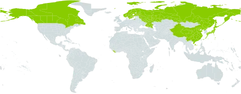 Pinguicula villosa world distribution map, present in Canada, China, Finland, Japan, Liberia, Norway, Korea (Democratic People's Republic of), Russian Federation, Sweden, and United States of America