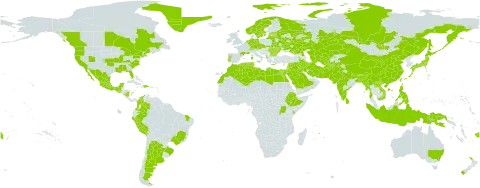 Pisum sativum world distribution map, present in Afghanistan, Albania, Argentina, Armenia, American Samoa, Australia, Austria, Azerbaijan, Bangladesh, Bulgaria, Belarus, Brazil, Bhutan, Canada, Switzerland, China, Colombia, Cyprus, Czech Republic, Germany, Dominican Republic, Algeria, Ecuador, Egypt, Spain, Estonia, Ethiopia, Fiji, France, Georgia, Ghana, Greece, Greenland, Guatemala, Haiti, Indonesia, India, Iran (Islamic Republic of), Iraq, Israel, Italy, Jordan, Japan, Kazakhstan, Kenya, Kyrgyzstan, Lao People's Democratic Republic, Lebanon, Libya, Sri Lanka, Lithuania, Latvia, Morocco, Moldova (Republic of), Mexico, Malta, Myanmar, Mongolia, Northern Mariana Islands, Mauritius, Mayotte, Nicaragua, Netherlands, Norway, Nepal, New Zealand, Pakistan, Peru, Philippines, Papua New Guinea, Portugal, Romania, Russian Federation, Rwanda, Saudi Arabia, Singapore, Slovakia, Sweden, Syrian Arab Republic, Tajikistan, Turkmenistan, Tunisia, Taiwan, Province of China, Uganda, Ukraine, United States of America, Uzbekistan, and Viet Nam