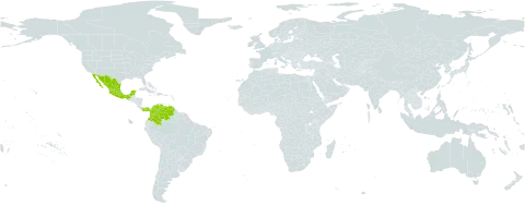 Pithecellobium hymeneaefolium world distribution map, present in Colombia, French Guiana, Mexico, Panama, and Venezuela (Bolivarian Republic of)