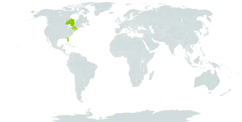 Pityopsis falcata world distribution map, present in Canada and United States of America