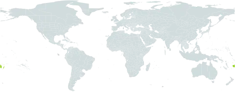 Planchonella garberi world distribution map, present in Fiji, Tonga, Wallis and Futuna, and Samoa