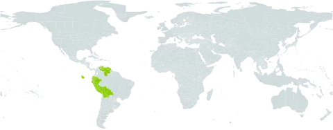 Pleurothallis antennifera world distribution map, present in Bolivia (Plurinational State of), Ecuador, Peru, and Venezuela (Bolivarian Republic of)