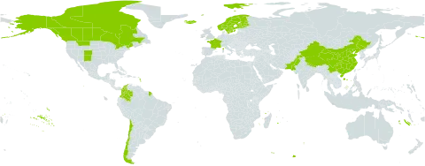 Poa alpigena world distribution map, present in Canada, Chile, China, Colombia, Finland, France, Iceland, Norway, Nepal, Pakistan, Svalbard and Jan Mayen, Sweden, and United States of America