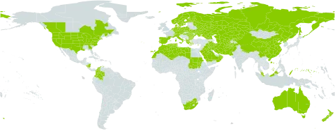 Poa bulbosa world distribution map, present in Afghanistan, Albania, Australia, Austria, Bulgaria, Canada, Switzerland, China, Colombia, Cyprus, Czech Republic, Germany, Denmark, Algeria, Spain, Finland, France, Micronesia (Federated States of), Georgia, Greece, Hungary, Iran (Islamic Republic of), Iraq, Italy, Kazakhstan, Kyrgyzstan, Libya, Morocco, Malaysia, Nicaragua, Netherlands, Norway, Nepal, New Zealand, Oman, Pakistan, Palau, Poland, Korea (Democratic People's Republic of), Portugal, Romania, Russian Federation, Saudi Arabia, Sudan, Sweden, Turks and Caicos Islands, Turkmenistan, Tunisia, Ukraine, United States of America, Uzbekistan, and South Africa