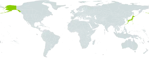 Poa macrocalyx world distribution map, present in Japan and United States of America