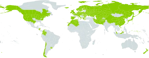 Poa nemoralis world distribution map, present in Afghanistan, Albania, Austria, Bulgaria, Belarus, Canada, Switzerland, Chile, China, Colombia, Czech Republic, Germany, Denmark, Algeria, Spain, Finland, France, Micronesia (Federated States of), United Kingdom of Great Britain and Northern Ireland, Greece, Hungary, Ireland, Iran (Islamic Republic of), Iceland, Italy, Japan, Kazakhstan, Kyrgyzstan, Morocco, Montenegro, Malaysia, Nicaragua, Netherlands, Norway, Nepal, New Zealand, Pakistan, Poland, Korea (Democratic People's Republic of), Portugal, Romania, Russian Federation, Sweden, Turks and Caicos Islands, Turkmenistan, Ukraine, Uruguay, United States of America, and Uzbekistan