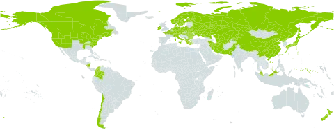 Poa palustris world distribution map, present in Albania, Austria, Bulgaria, Belarus, Canada, Switzerland, Chile, China, Colombia, Czech Republic, Germany, Denmark, Finland, France, Micronesia (Federated States of), Greece, Hungary, Ireland, Iran (Islamic Republic of), Italy, Japan, Kazakhstan, Kyrgyzstan, Montenegro, Malaysia, Nicaragua, Netherlands, Norway, New Zealand, Pakistan, Poland, Korea (Democratic People's Republic of), Romania, Russian Federation, Sweden, Turkmenistan, Ukraine, United States of America, and Uzbekistan