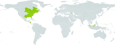 Pogonia ophioglossoides world distribution map, present in Åland Islands, Canada, France, Micronesia (Federated States of), Georgia, Malaysia, Nicaragua, and United States of America