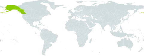 Polemonium villosissimum world distribution map, present in Canada and United States of America