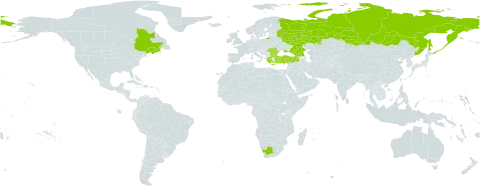 Polygonum oxyspermum subsp. raii world distribution map, present in Bulgaria, Canada, France, Georgia, Greece, Romania, Russian Federation, Turkey, Ukraine, United States of America, and South Africa