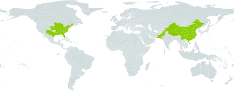 Polygonum posumbu world distribution map, present in China, Pakistan, and United States of America