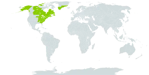 Polypodium virginianum world distribution map, present in Canada, France, Greenland, Saint Pierre and Miquelon, and United States of America