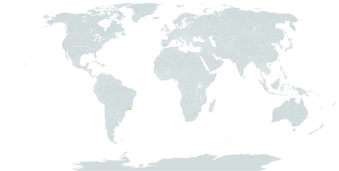 Polyscias filicifolia world distribution map, present in Brazil, Dominica, Fiji, Haiti, and Wallis and Futuna