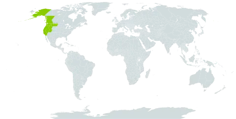 Polystichum kruckebergii world distribution map, present in Canada and United States of America