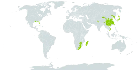Polystichum luctuosum world distribution map, present in China, India, Japan, Lesotho, Madagascar, Nepal, Korea (Democratic People's Republic of), Réunion, eSwatini, Taiwan, Province of China, United States of America, Viet Nam, South Africa, and Zimbabwe