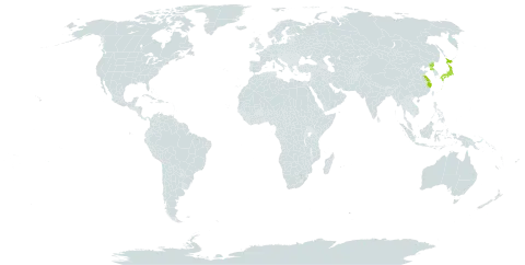 Polystichum polyblepharum world distribution map, present in China, Japan, and Korea (Democratic People's Republic of)