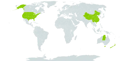 Populus world distribution map, present in Australia, China, New Zealand, and United States of America