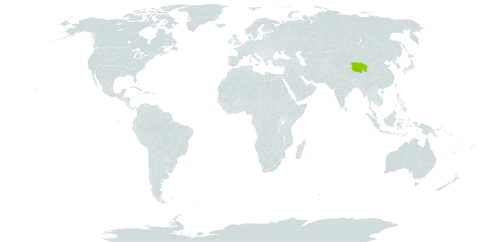 Populus minhoensis world distribution map, present in China