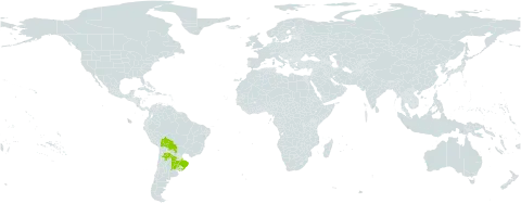 Portulaca cryptopetala world distribution map, present in Argentina, Bolivia (Plurinational State of), Brazil, Paraguay, and Uruguay
