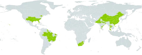 Portulaca pilosa world distribution map, present in Brazil, China, French Guiana, Guyana, India, Pakistan, Thailand, United States of America, and South Africa