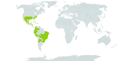 Portulaca umbraticola world distribution map, present in Argentina, Bolivia (Plurinational State of), Brazil, Colombia, Costa Rica, Cuba, Dominican Republic, Ecuador, Honduras, Jamaica, Mexico, Peru, Paraguay, El Salvador, United States of America, and Venezuela (Bolivarian Republic of)