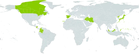 Potamogeton berchtoldii subsp. berchtoldii world distribution map, present in Åland Islands, Canada, Colombia, Spain, Micronesia (Federated States of), Iran (Islamic Republic of), Iraq, Japan, Malaysia, Nicaragua, Palau, Korea (Democratic People's Republic of), and Turks and Caicos Islands