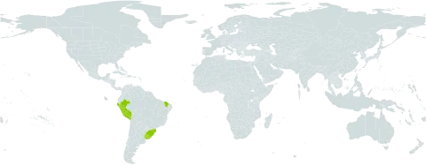 Potamogeton ferrugineus world distribution map, present in Brazil, Peru, and Uruguay