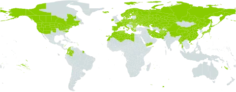 Potamogeton natans world distribution map, present in Afghanistan, Albania, Austria, Bulgaria, Belarus, Canada, Switzerland, China, Colombia, Czech Republic, Germany, Denmark, Algeria, Spain, Finland, France, Greece, Hungary, Ireland, Iran (Islamic Republic of), Iceland, Italy, Japan, Kazakhstan, Kyrgyzstan, Libya, Morocco, Myanmar, Montenegro, Netherlands, Norway, Nepal, Pakistan, Poland, Korea (Democratic People's Republic of), Portugal, Romania, Russian Federation, Sweden, Turks and Caicos Islands, Tunisia, Ukraine, United States of America, Uzbekistan, and Yemen