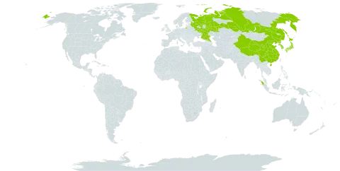 Potamogeton oxyphyllus world distribution map, present in China, Indonesia, Japan, Korea (Republic of), Korea (Democratic People's Republic of), and Russian Federation
