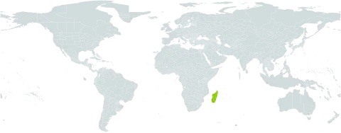 Potamogeton parmatus world distribution map, present in Madagascar
