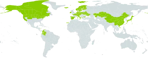 Potamogeton praelongus world distribution map, present in Albania, Austria, Bulgaria, Belarus, Canada, Switzerland, China, Colombia, Czech Republic, Germany, Denmark, Spain, Finland, France, Ireland, Iceland, Italy, Japan, Kazakhstan, Montenegro, Netherlands, Norway, Poland, Sweden, Turks and Caicos Islands, Ukraine, and United States of America