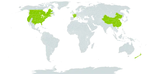 Potentilla recta world distribution map, present in Canada, China, France, United Kingdom of Great Britain and Northern Ireland, New Zealand, and United States of America
