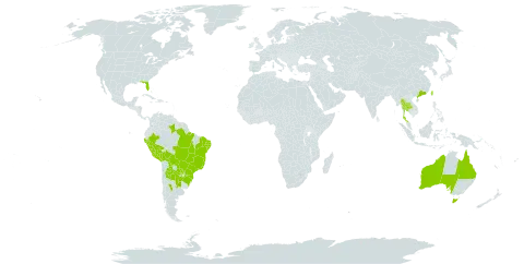 Praxelis clematidea world distribution map, present in Argentina, Australia, Bolivia (Plurinational State of), Brazil, China, Peru, Paraguay, Thailand, Taiwan, Province of China, and United States of America