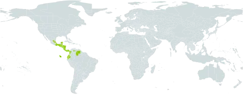 Prestonia portobellensis world distribution map, present in Belize, Colombia, Costa Rica, Ecuador, Guatemala, Honduras, Mexico, Nicaragua, Panama, El Salvador, and Venezuela (Bolivarian Republic of)