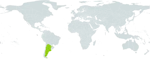 Prosopis argentina world distribution map, present in Argentina
