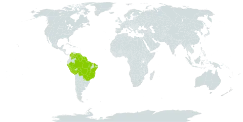 Protium heptaphyllum world distribution map, present in Bolivia (Plurinational State of), Brazil, Colombia, French Guiana, Guyana, Peru, Paraguay, Suriname, Trinidad and Tobago, and Venezuela (Bolivarian Republic of)