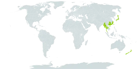 Prunus campanulata world distribution map, present in China, Japan, Myanmar, New Zealand, Thailand, and Taiwan, Province of China
