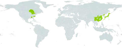 Prunus glandulosa world distribution map, present in Canada, China, Japan, Korea (Democratic People's Republic of), and United States of America